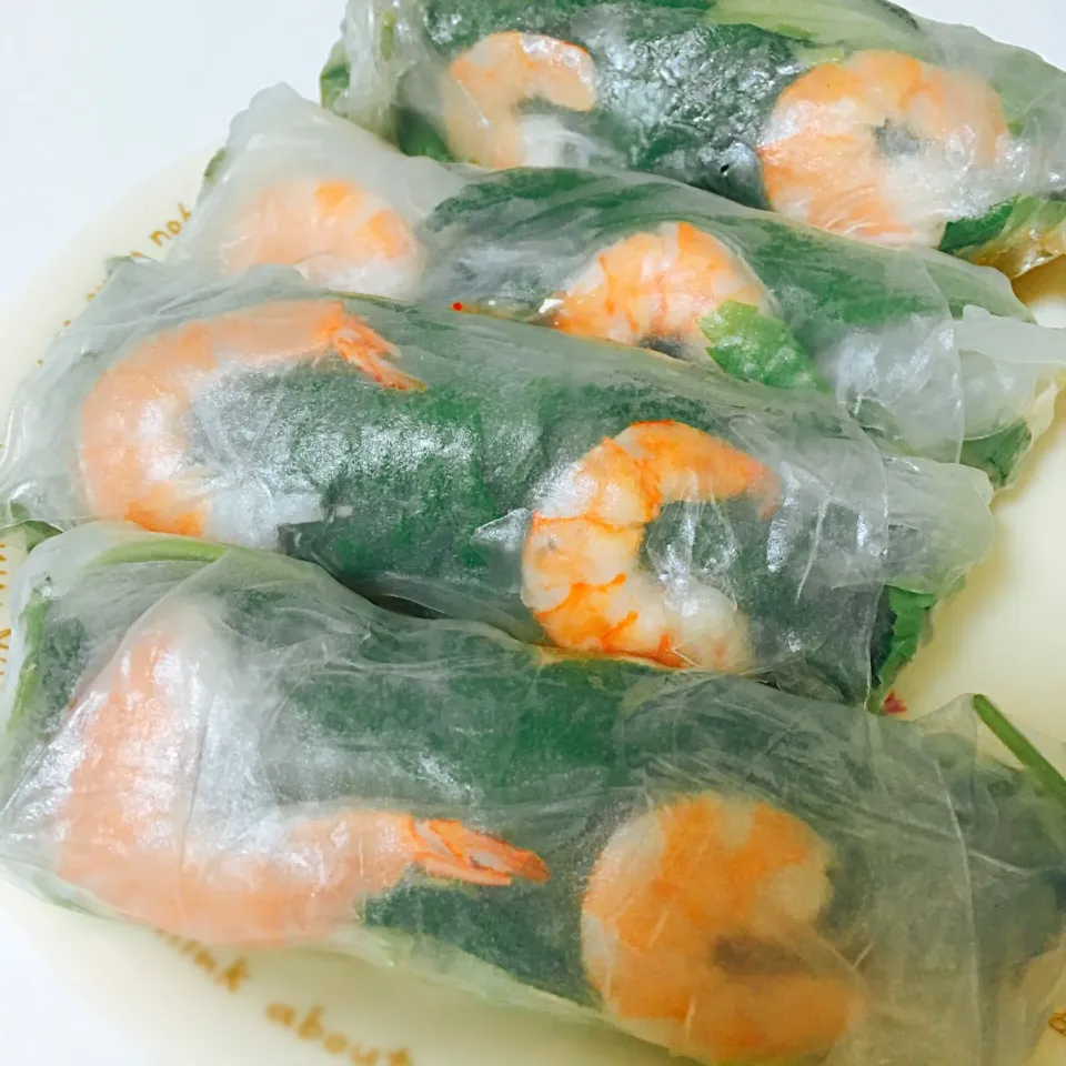 Vietnamese fresh spring rolls|Yukiさん