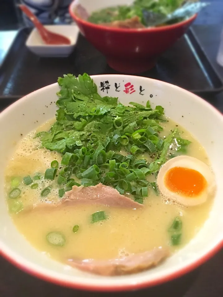 Snapdishの料理写真:白鶏塩ラーメン|れりさん