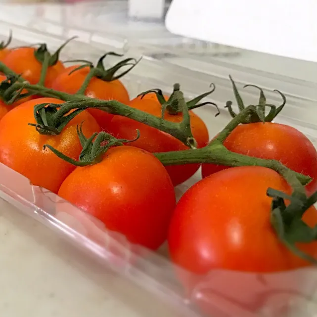 Vine red cherry tomato|Lhin Linさん