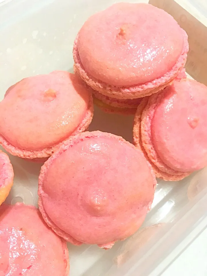 Macarons|Trish Wongさん