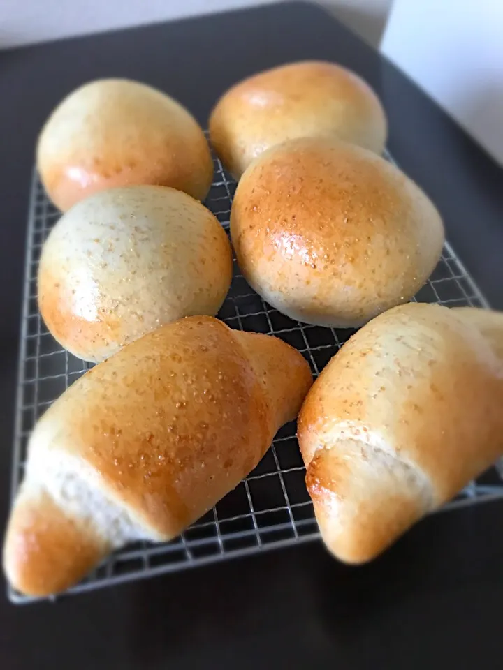 全粒粉でチョコクリームぱんとロールパン|ゆだともさん