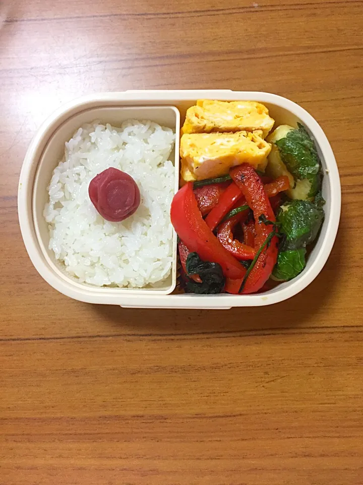 Snapdishの料理写真:6月12日のお弁当🐌|himeさん