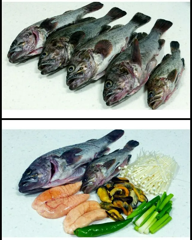 rock fish ready for cooking|steven z.y.さん