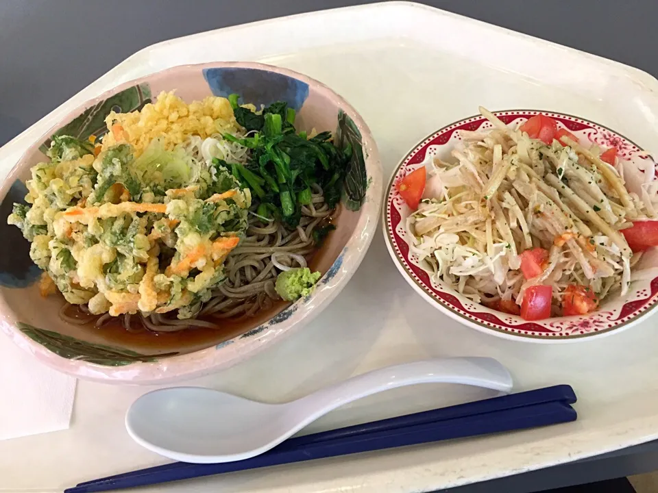 Snapdishの料理写真:冷やしぶっかけ蕎麦、春菊天、青菜、揚げ玉、ごぼうサラダ|Tadahiko Watanabeさん