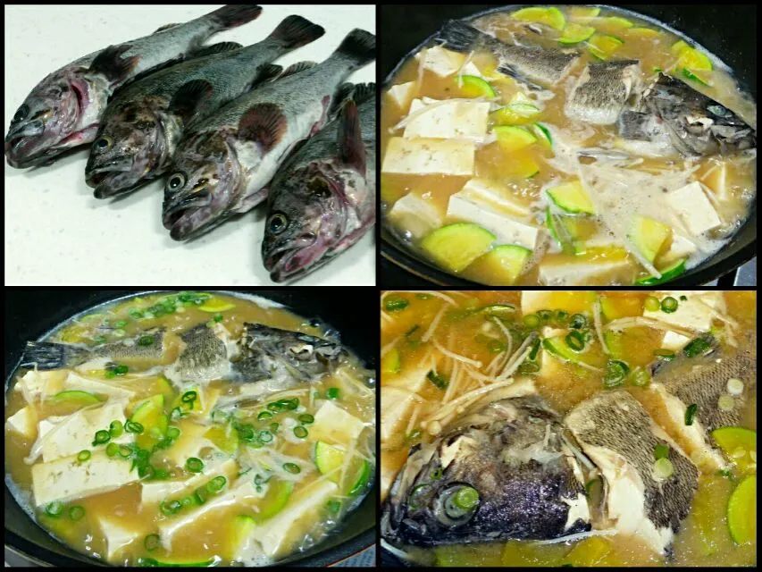 rock fish in miso broth|steven z.y.さん