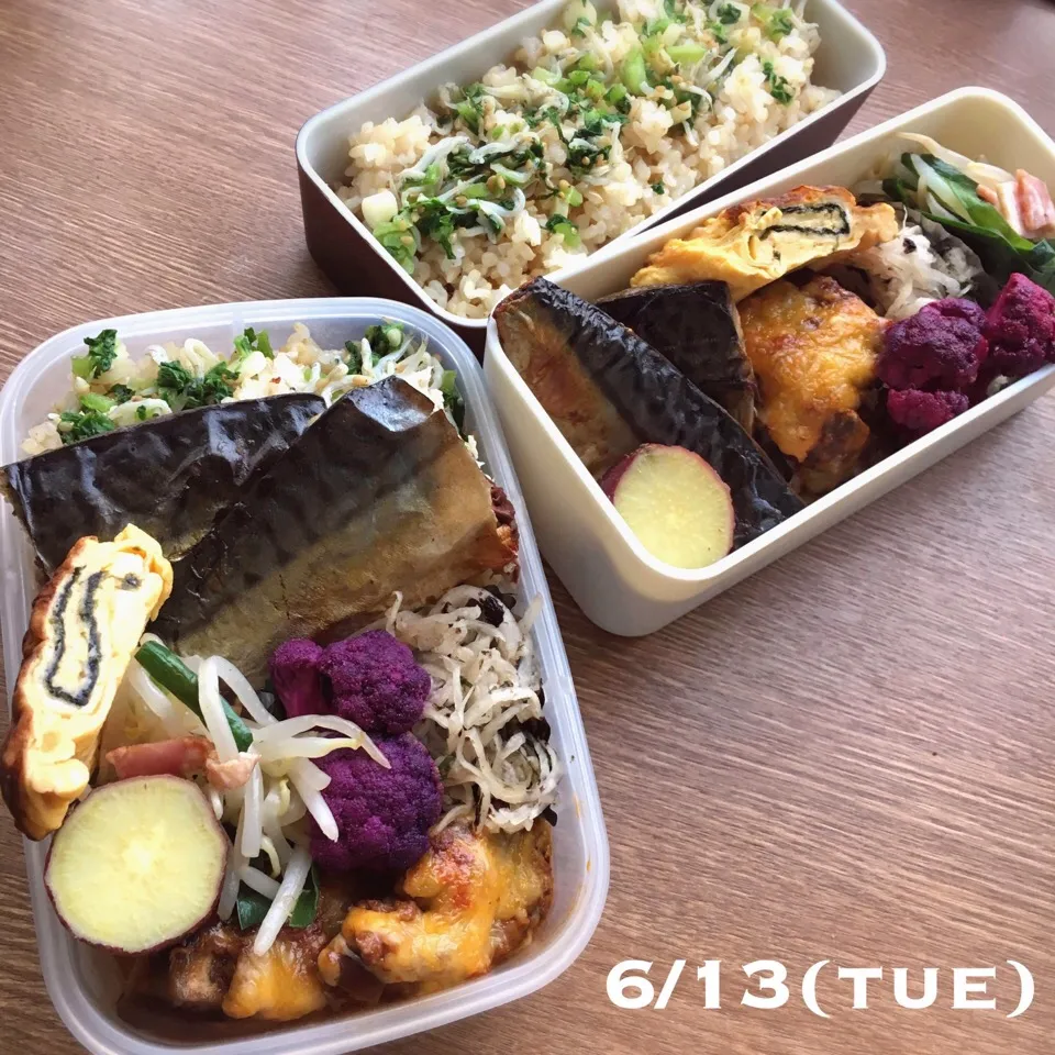 6/13 お弁当|もっちさん