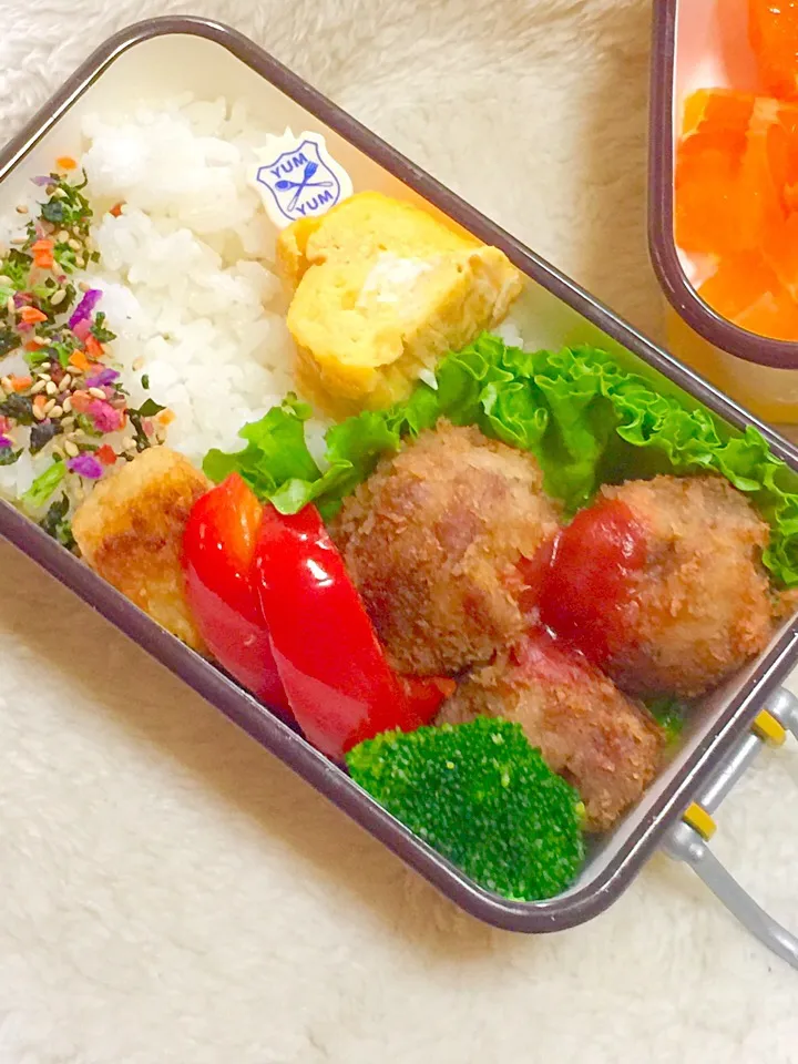 Snapdishの料理写真:娘達のお弁当(*^^*)#お弁当 #bennto #姉妹弁当 #女子大生 #女子高生|123mamaさん