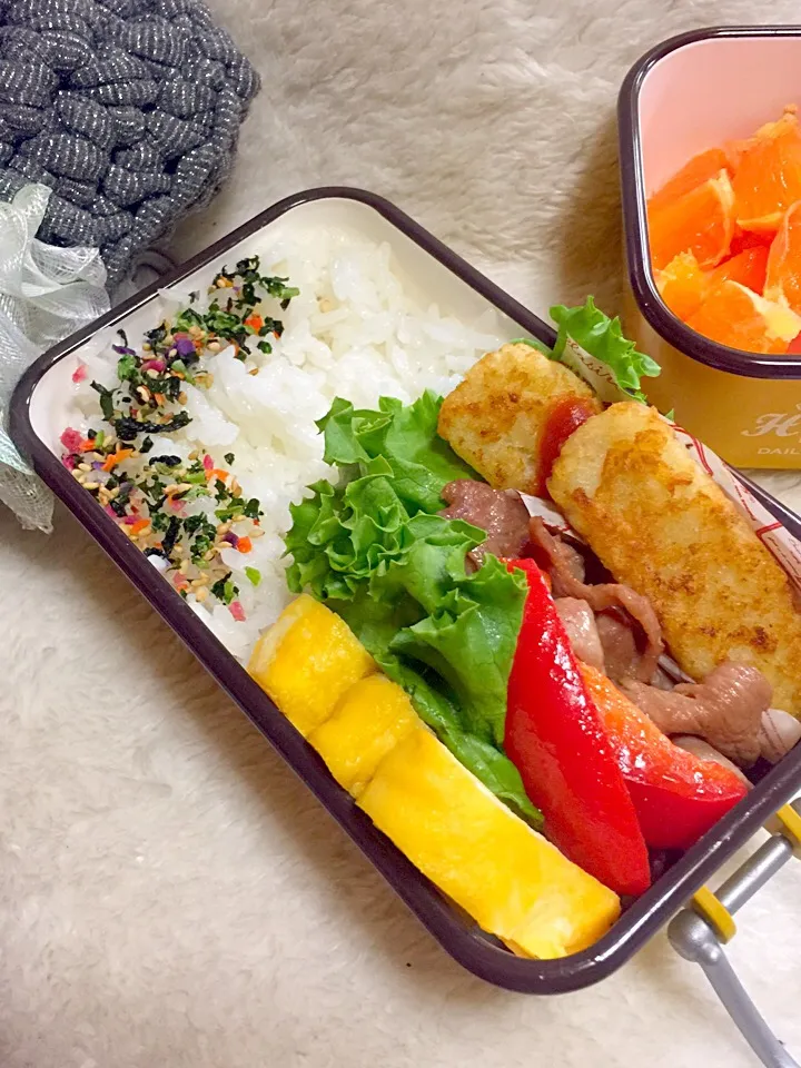 Snapdishの料理写真:娘達のお弁当(*^^*)#女子高生 #女子大生 #姉妹弁当 #bennto #お弁当|123mamaさん