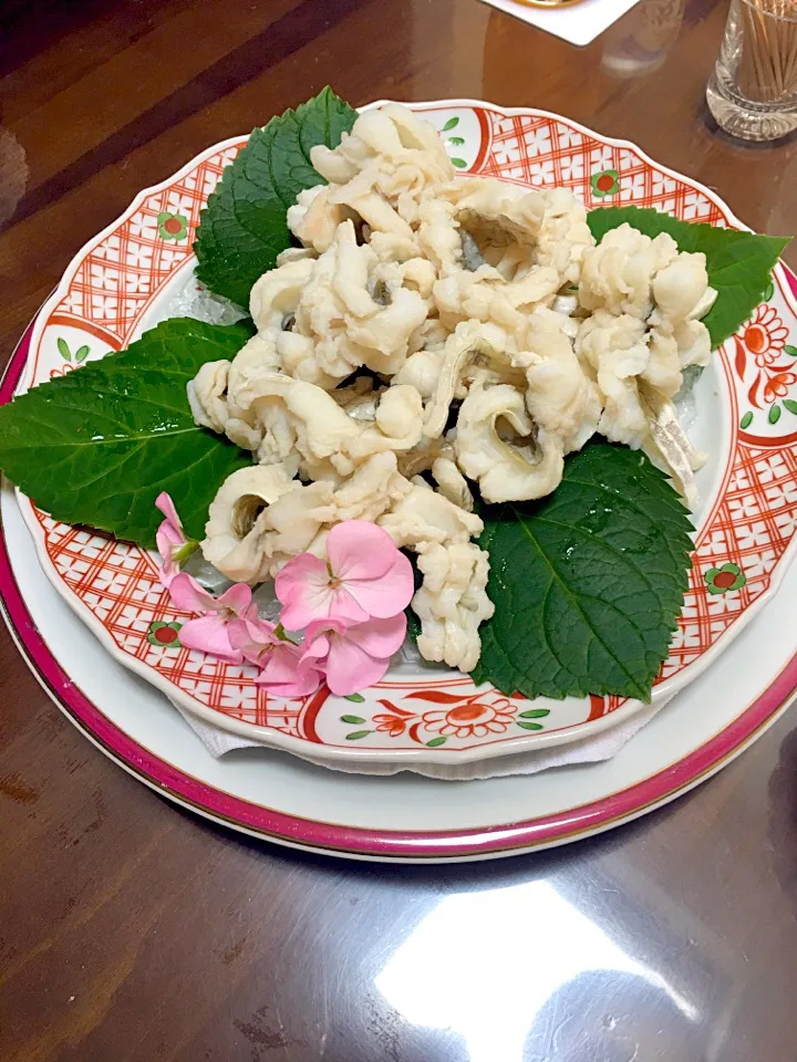 今日は我が家の「ハモ」の日
まずは湯引きから|takamuraさん