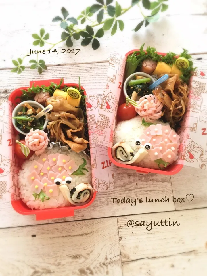 簡単梅雨弁＊カタツムリと紫陽花のお弁当♪|sayu♡さん