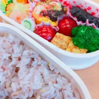 お弁当15日目

#お弁当初心者|きちすけさん