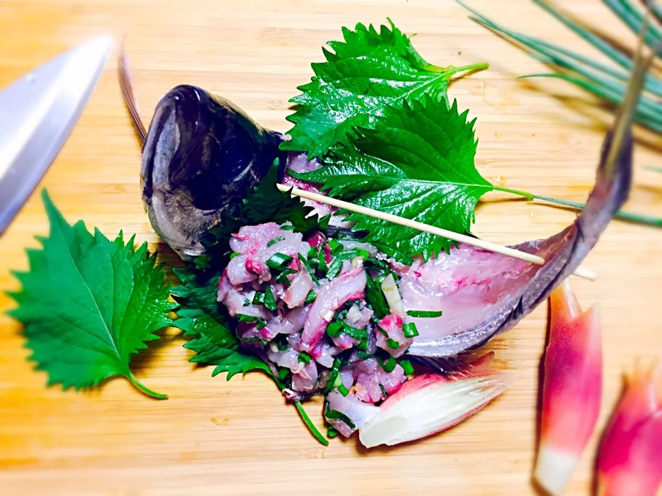 Finely Chopped Horse Mackerel Sashimi
アジのタタキ|Masakiさん