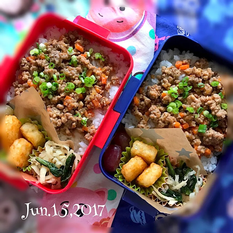 今日の#女子中学生弁当 は、味噌そぼろ丼|Hiroko Kさん