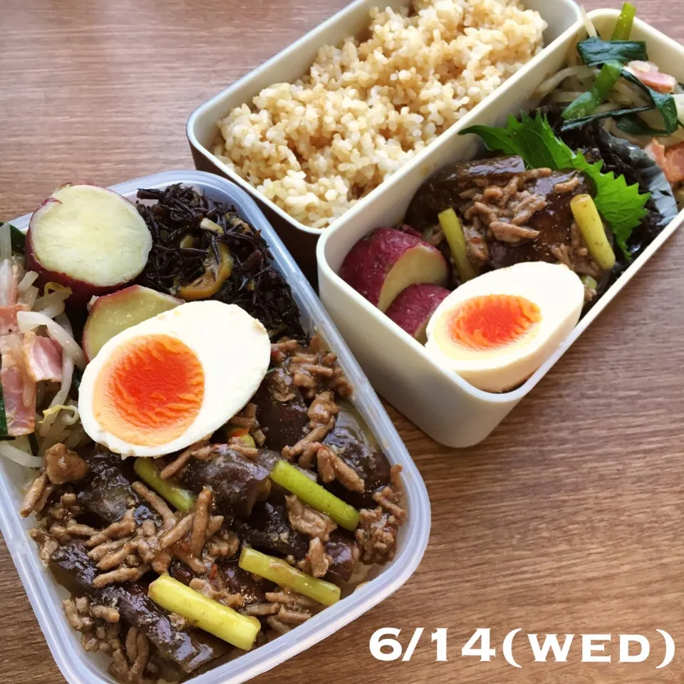 6/14 お弁当|もっちさん