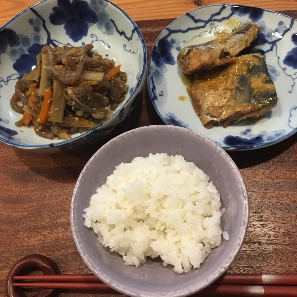 2017.6.15(木) #晩御飯 #牛ごぼうきんぴら#サバの味噌煮|あっきーよさん