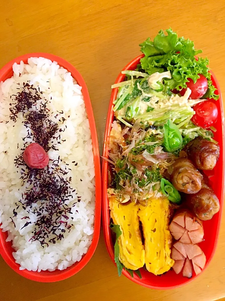 Snapdishの料理写真:今日のお弁当🍱
・豚肉の大葉巻き
・ササミと豆苗のゴママヨ和え
・卵焼き
・ウインナー
・たこ焼き

#お弁当 
#ランチボックス 
#お弁当記録 
#毎日のお弁当 
#自分弁当 
#手作り 
#弁当|ryo.ythさん