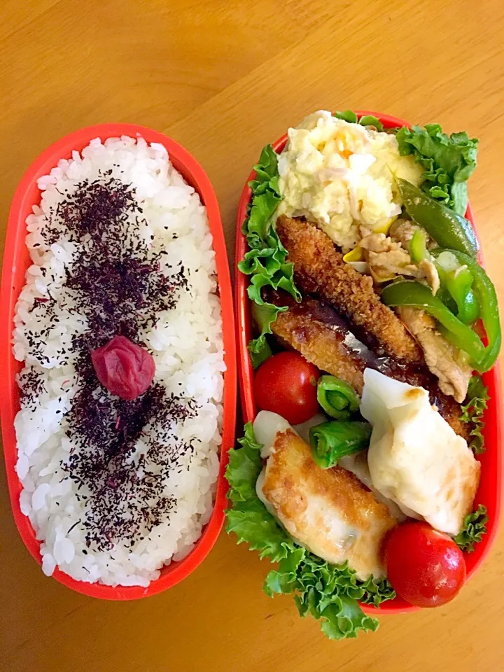 今日のお弁当🍱

・とんかつ
・餃子
・豚肉とピーマンの中華炒め
・ポテトサラダ
・スナップエンドウ
・ミニトマト

#毎日のお弁当 
#自分弁当 
#弁当 
#お弁当記録 
#ランチボックス 
#手作りお弁当|ryo.ythさん