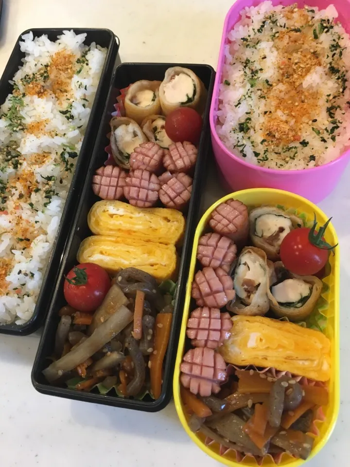 2017.6.16(金) 旦那様&私のお弁当🍱|あっきーよさん