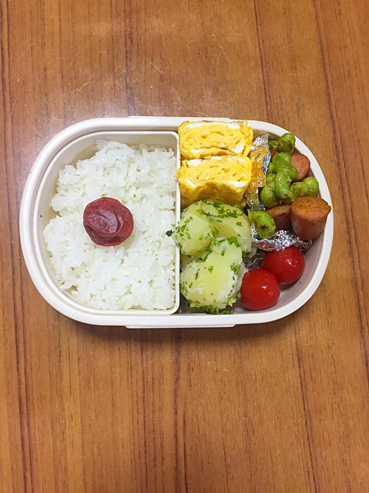 Snapdishの料理写真:6月17日のお弁当🐌|himeさん