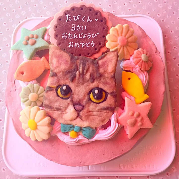 ねこさんのケーキ
#バースデーケーキ #お誕生日ケーキ #デコレーションケーキ #ねこ#猫#クッキー#ケーキ#ねこクッキー 
#国産小麦粉使用 #チョコケーキ|サント*シャペルさん