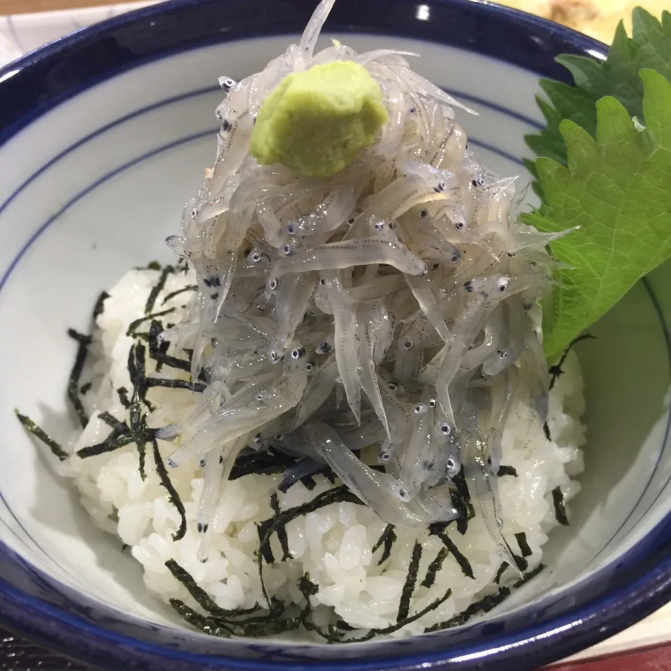 しらす丼|愛ペガさん