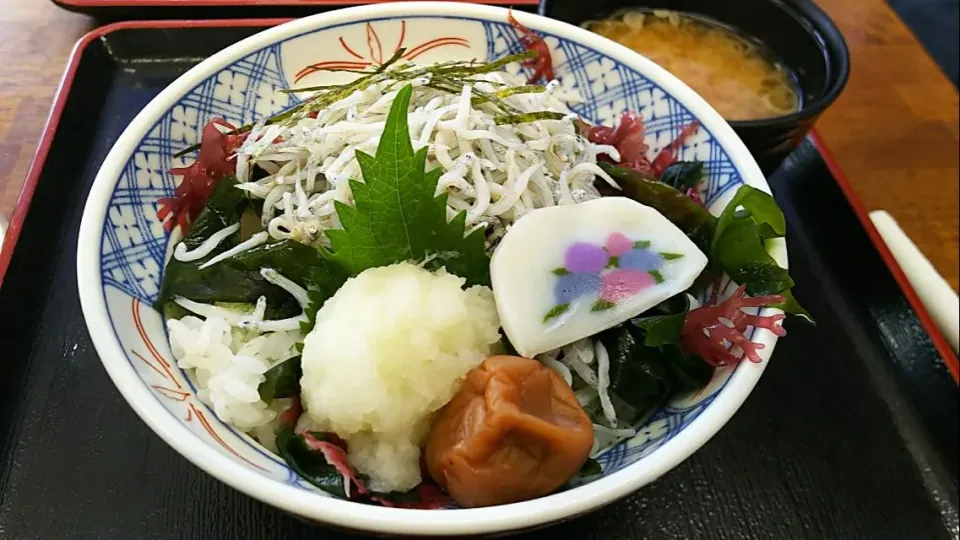 小田原 釜揚げしらす丼|kamekameさん