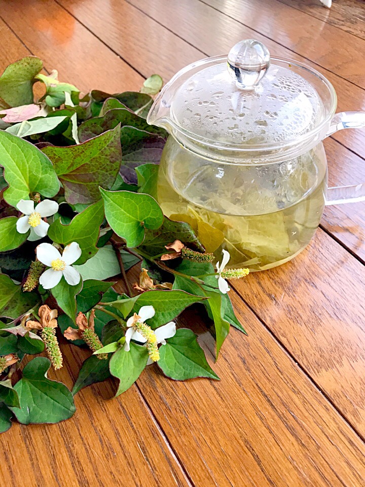 どくだみ茶 ｓｕｚｕｋｉ Snapdish スナップディッシュ Id Rcxw1a