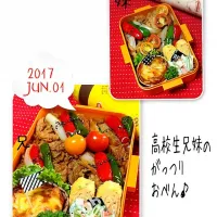 Snapdishの料理写真:高校生兄妹のがっつりおべん♪|おざMAMAさん