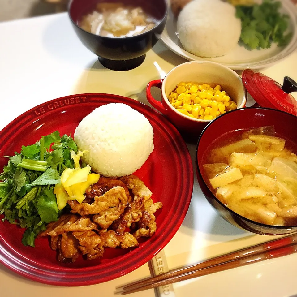 豚の生姜焼きにパクチー添え☘、バターコーン🌽、お味噌汁。|nokorinさん