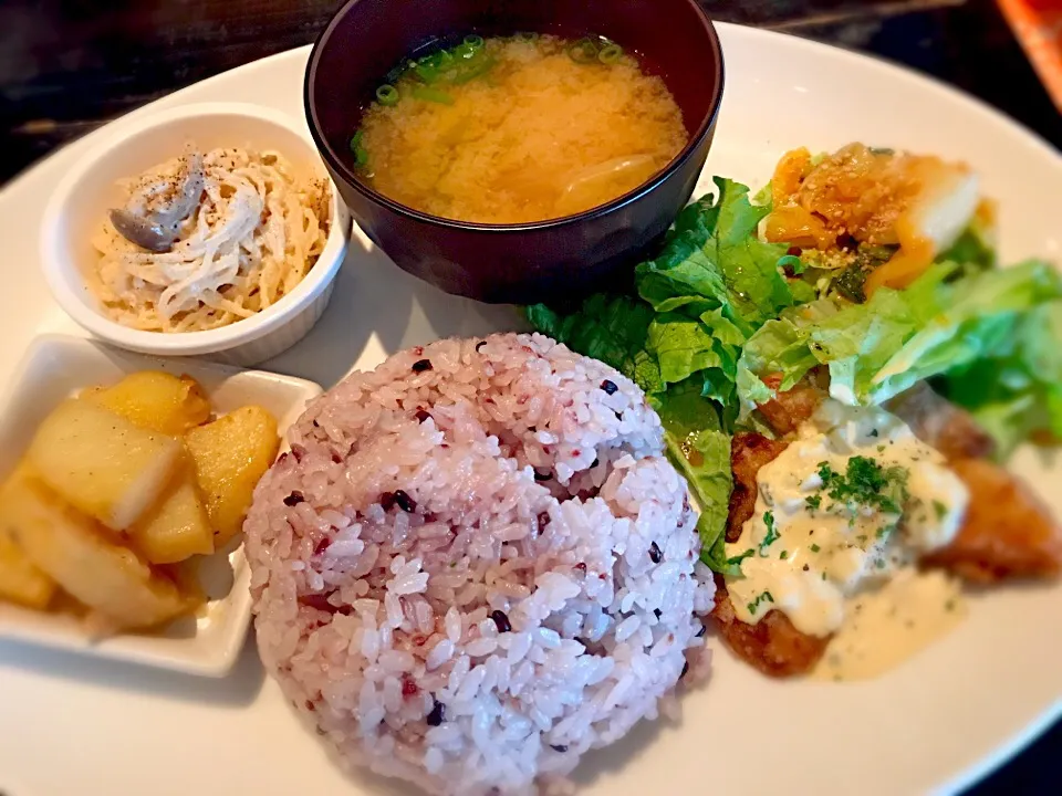 日替わりランチ|チカさん