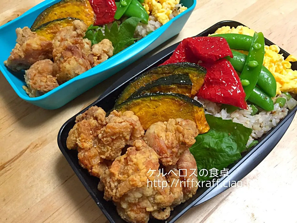 Snapdishの料理写真:塩唐揚げ弁当|門乃ケルコさん