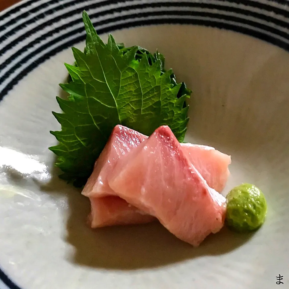 相模湾釣 活じめ鰤大トロ|まる(丸大豆)さん