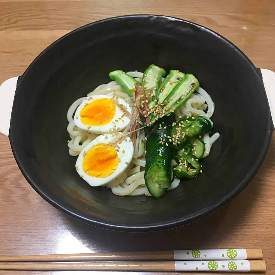 蛇腹きゅうりの冷たいおうどん
#蛇腹きゅうり #きゅうり #キュウリ #うどん#|あきころさん