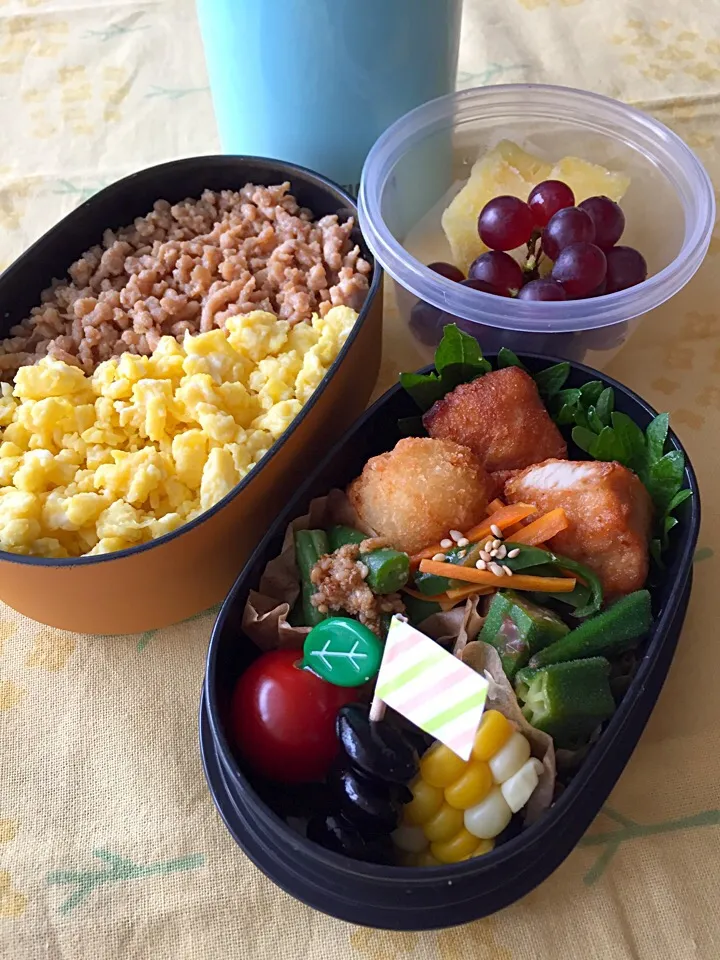 そぼろごはん弁当|Sakikoさん