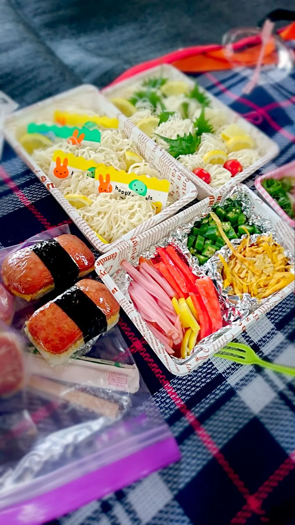 夏のピクニック弁当☺|いちあらママさん