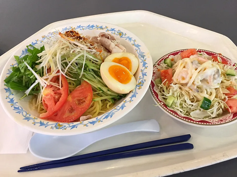 冷し豚しゃぶ胡麻だれサラダ麺、シーフードパスタサラダ|Tadahiko Watanabeさん