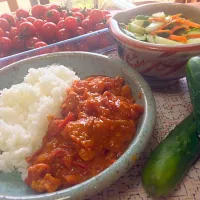 Snapdishの料理写真:水分トマトのみ トマトカレー|しょこさん