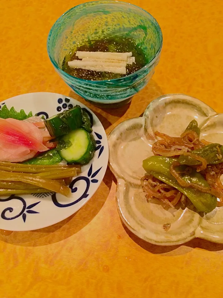 お通し
もずくとめかぶの酢の物 山芋を添えて
糸こんにゃくとシシトウとちりめんの炒め煮 山椒風味
新生姜とミョウガの甘酢漬け わさびの茎の醤油漬け キュウリとシソの浅漬け|Hitoさん