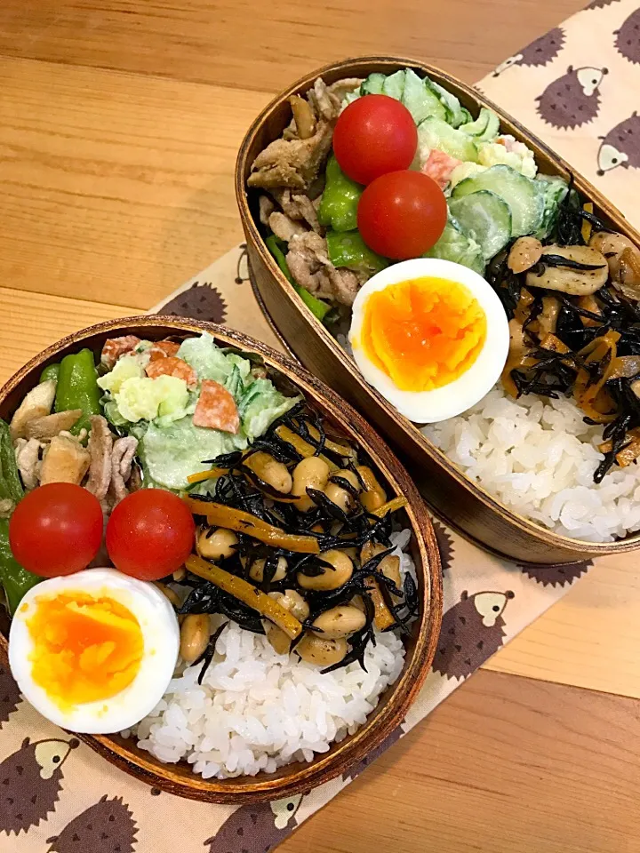 ふたり弁当

ごはん
ひじき煮
ポテトサラダ
豚肉と獅子唐 えりんぎの塩炒め
ゆで卵
ミニトマト|ひななぎさん