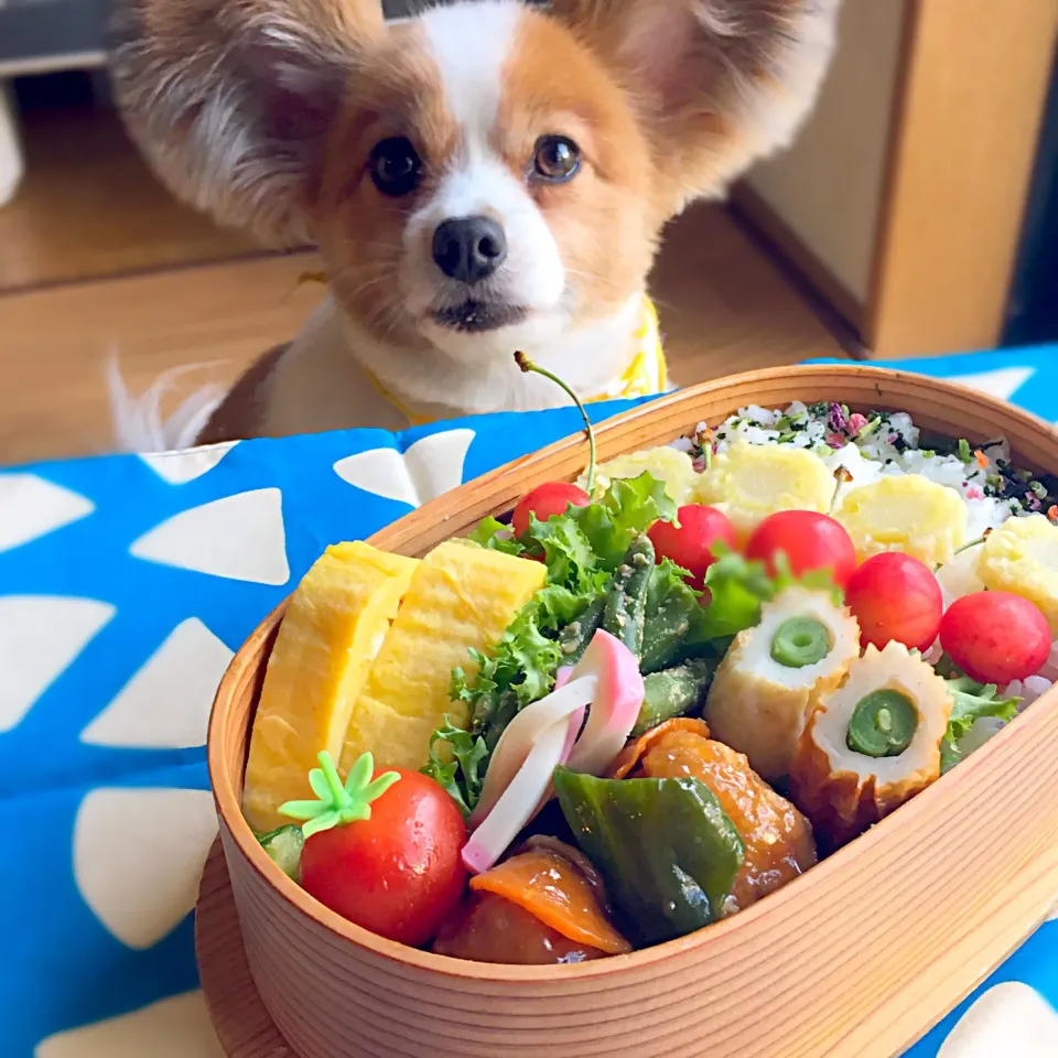 曲げわっぱ弁当 ♪
肉団子の甘酢炒め|papillonloveさん