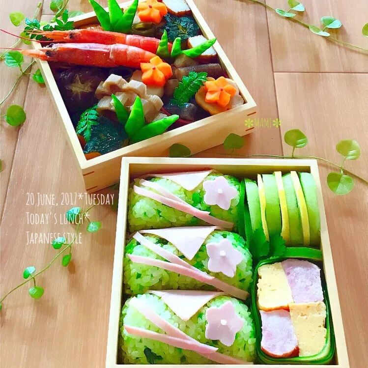 2017.6.20(火)和風弁当
#おひるごはん 
#お弁当 
#和食弁当|mamiさん