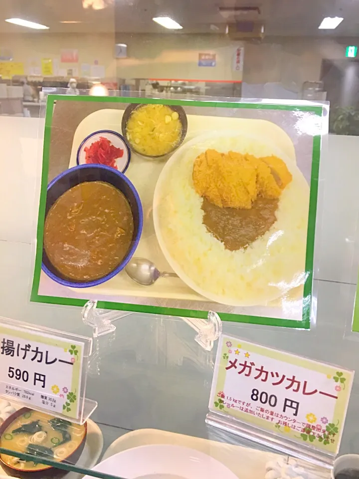 札幌市交通局本庁地下食堂メガカツカレー|nyama1さん