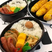 Snapdishの料理写真:お弁当|aicoroさん