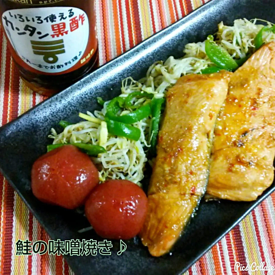 ボンバーさんのシャケ🐟の味噌焼きのん🎶 #カンタン黒酢でコクうま料理 💕咲きちゃんのもやしとピーマンの生姜酢あえもかんたん黒酢で☆|ゆっこさん