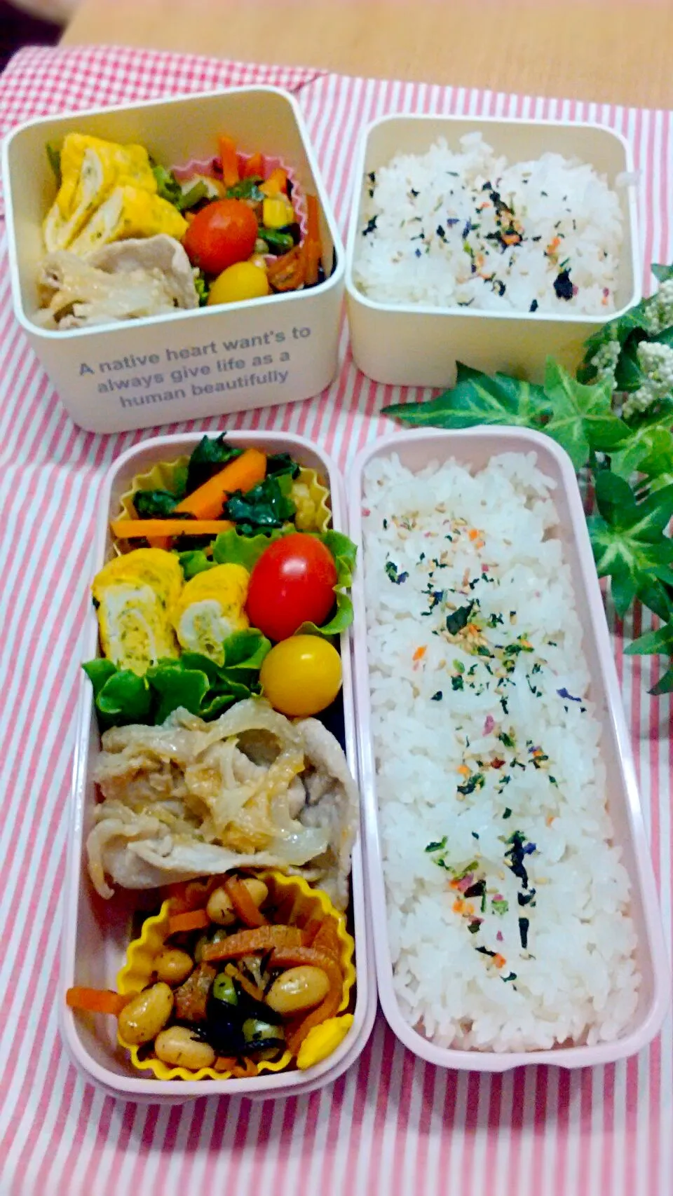 Snapdishの料理写真:6月21日の娘＆私弁当♪|ノリティアさん