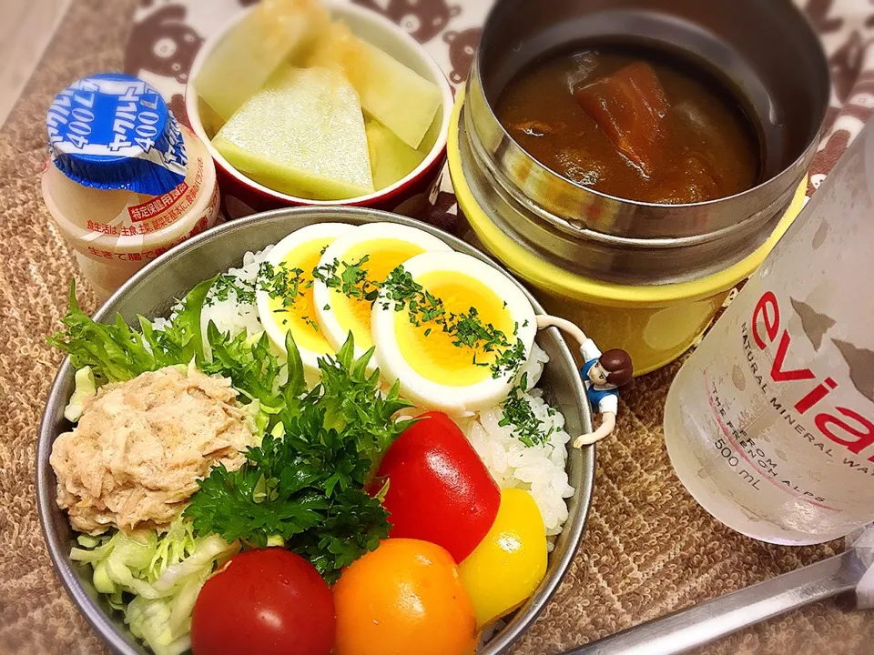 あわび茸ポークカレー🍛&ツナサラダ&ゆで卵&素揚げパプリカ&プチトマト&メロン🍈(しらかば)のダーリンお弁当♪

#弁当 #フチ子 #白神あわび茸 #地元はメロンの国|桃実さん