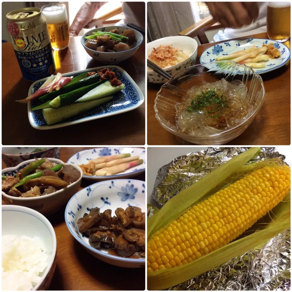 鶏ごぼうの煮物、きゅうりとみょうが 金山寺味噌添え など 2017.6.20|キラ姫さん