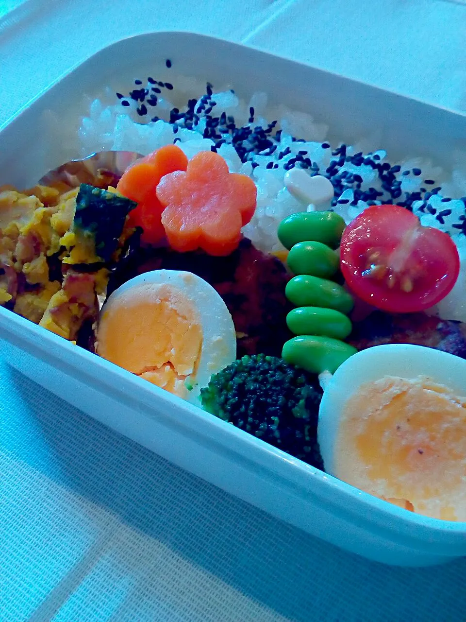 今日の娘ちゃん弁当|manariさん