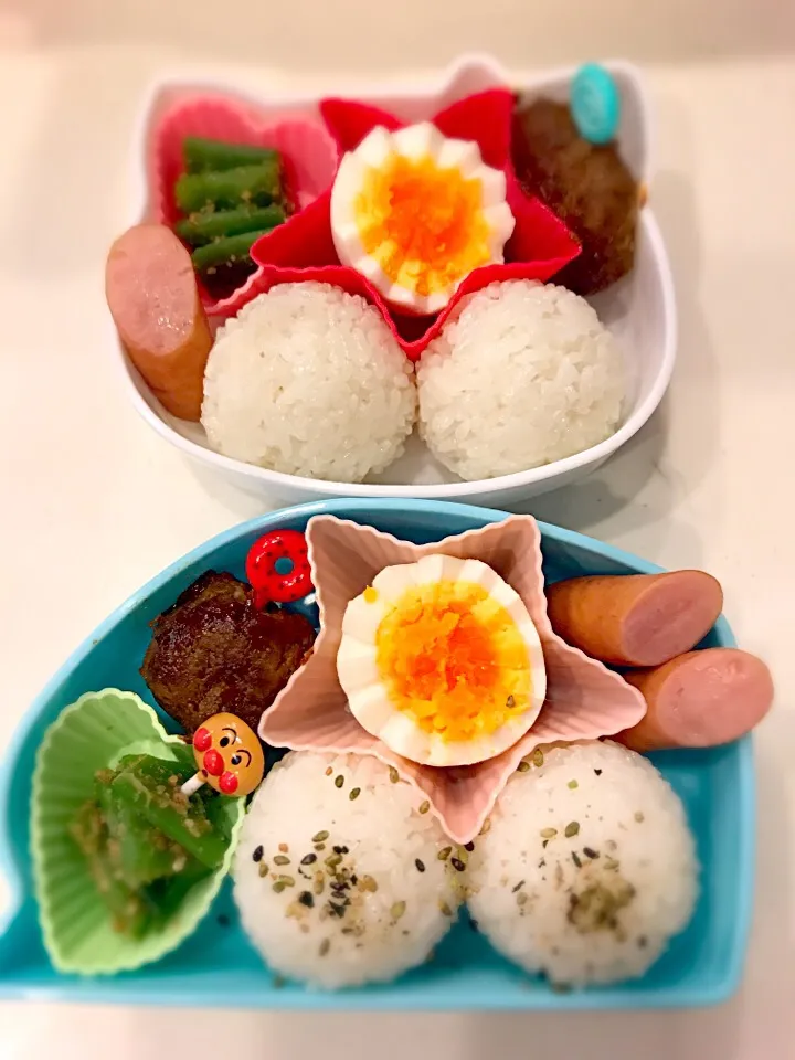 大きなまん丸おにぎり弁当✨|Michiko Okamotoさん