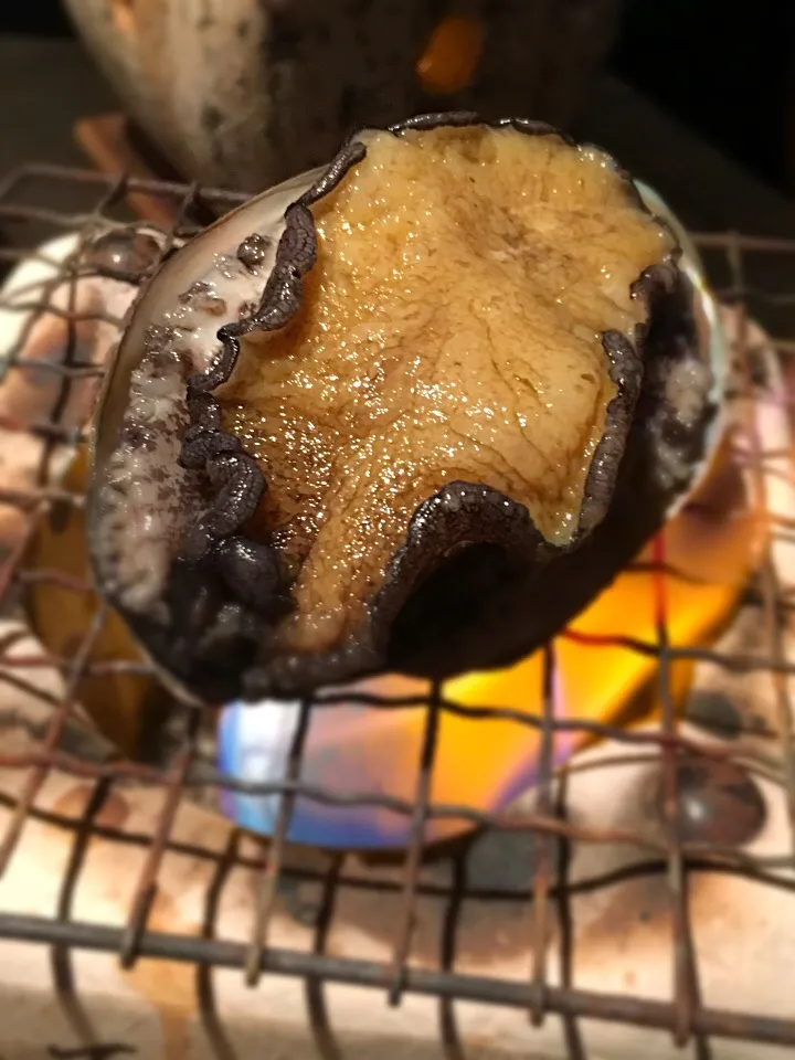 焼き鮑|あたたたさん